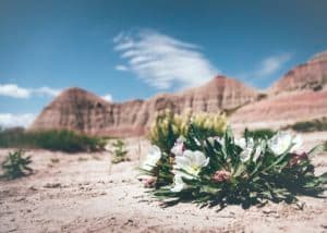 bright care christian counseling finding hope in difficult times lily