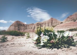 bright care christian counseling finding hope in difficult times lily